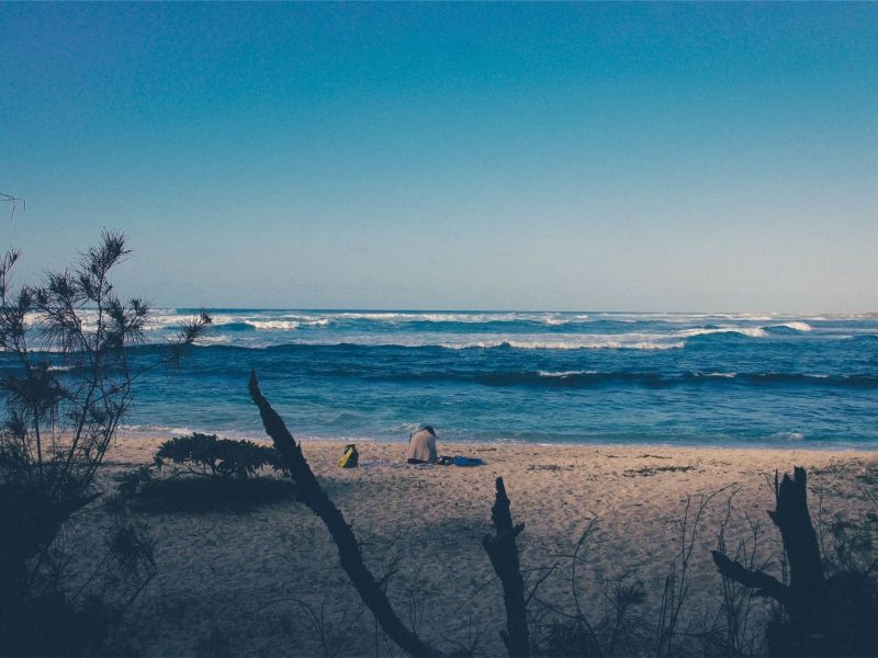 P特殊/貴重物件衣定要慎選搬家公司，可別因小失大